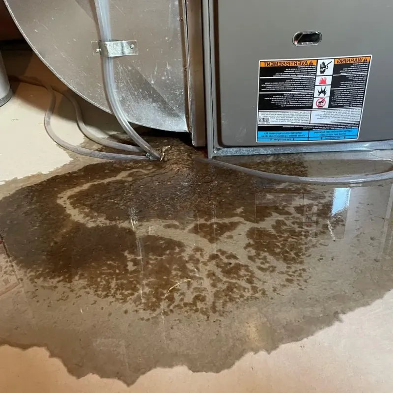 Pipe Burst and Leak Restoration in Camden, NJ