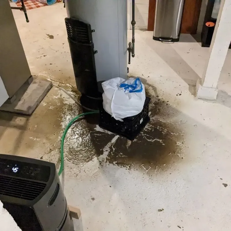 Sewage Backup Cleanup Service in Camden, NJ